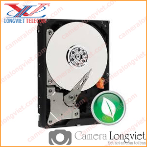 Ổ cứng WESTERN chuyên dụng 1T ( 1000 Gigabyte)